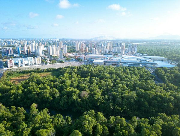 L'Épopée du Ballet : Voyage à Travers les Âges jusqu'à Nos Jours