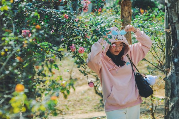 La Révolution du Rock Français : Origines et Métamorphoses